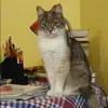 Отзыв от Таисия Анохина